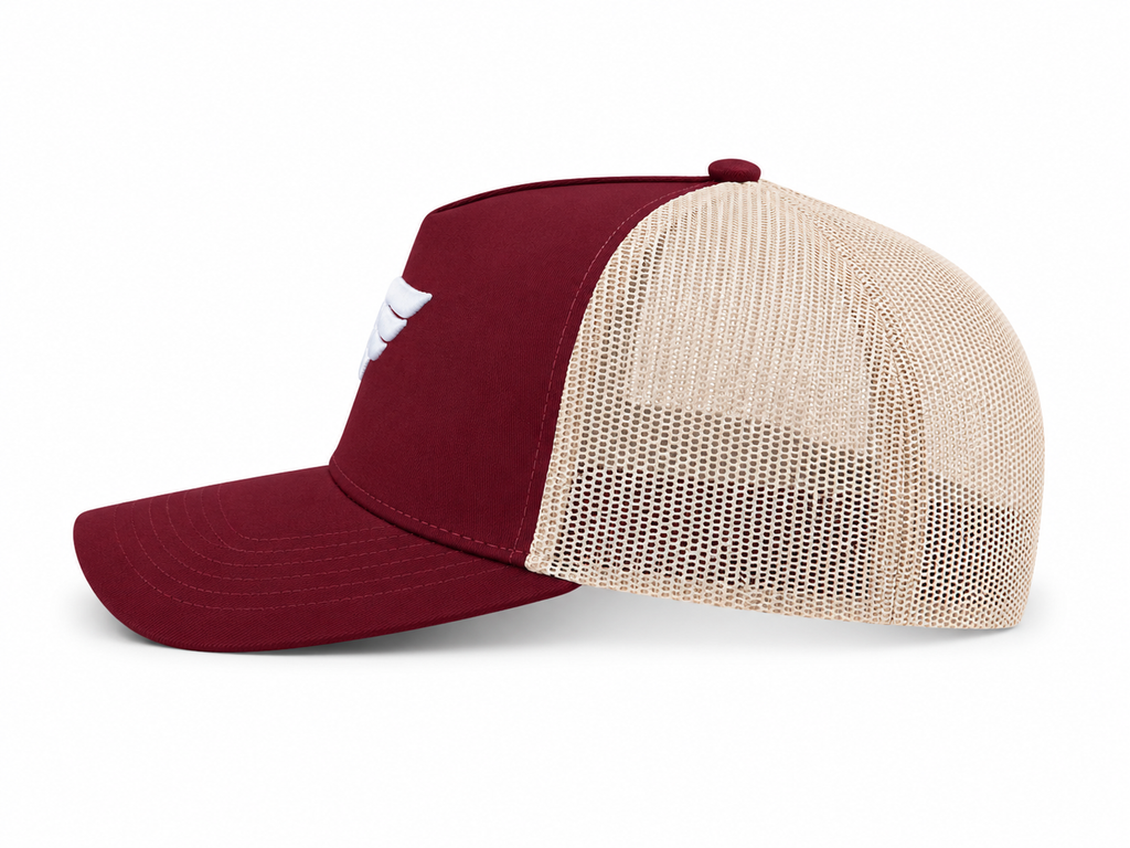 Burgundy/Beige cap